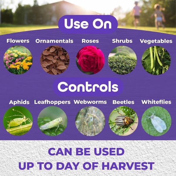 Pyrethrin Garden Insect Spray Concentrate, 8 oz. Ready-to-Mix Fast Acting Insecticide for Outdoor Garden Use