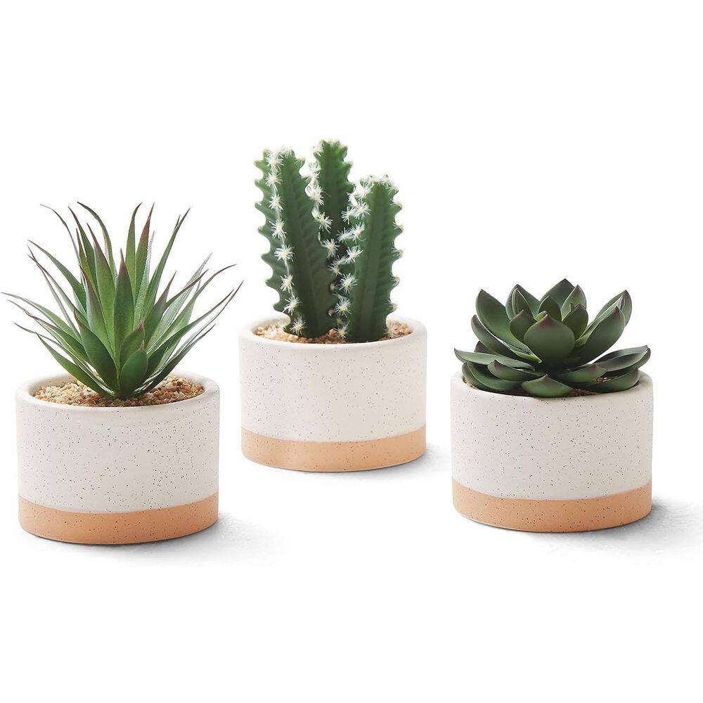 6.7 in. Green Indoor Artificial Succulent Plants in Ceramic Pots Set of 3