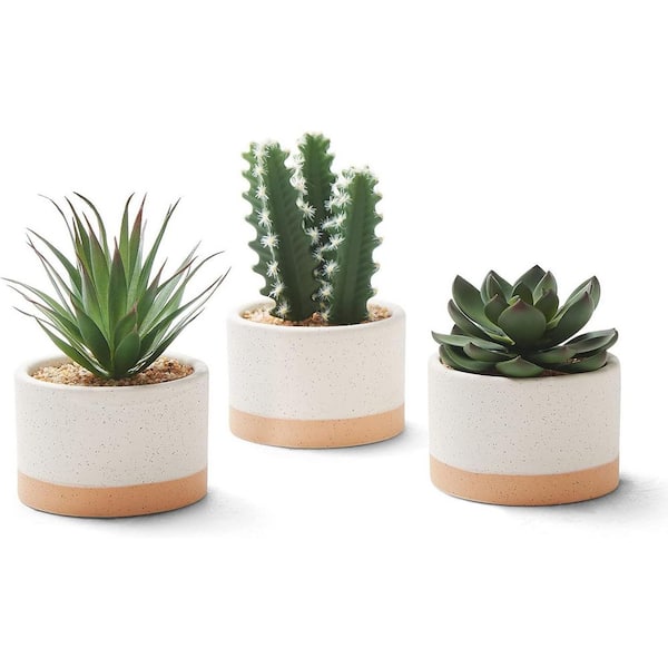 Unbranded 6.7 in. Green Indoor Artificial Succulent Plants in Ceramic Pots Set of 3