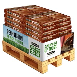 50 lbs. Sahara II Bermudagrass Full Sun Grass Seed Pallet (40-Bags)