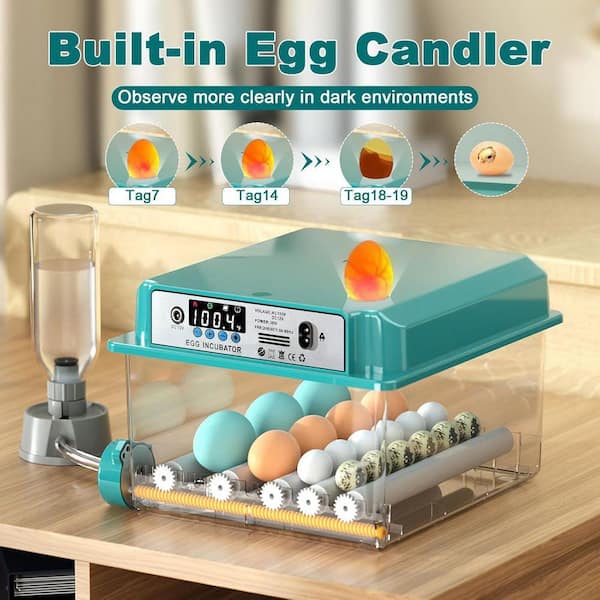 KIWDZFU 12-16 Egg Incubator Automatic Egg Turning Humidification