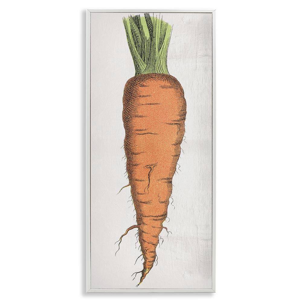 Detailed Carrot Study by Daphne Polselli White Framed Food Giclee Art Print 24 in. x 10 in. price history on PriceWatchPro