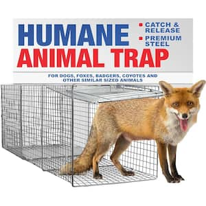 Heavy-Duty Outdoor Animal Cage Trap Catch Release for Foxes, Raccoons, Badgers and Coyotes, Large 42 x 15 x 15 - 1-Pack