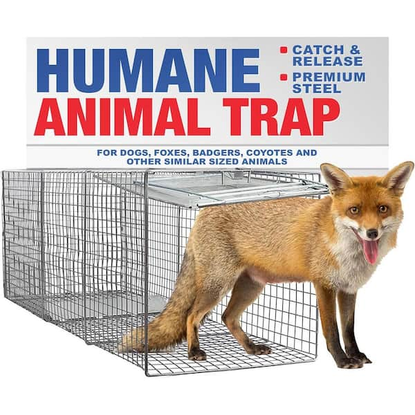 Humane animal catch & release on sale