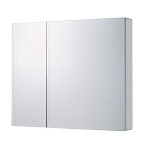 36 in. W x 30 in. H Rectangular Silver Recessed or Surface Wall Mount Medicine Cabinet with Mirror