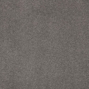 Appreciate II  - Sharkfin - Gray 58 oz. Triexta Texture Installed Carpet