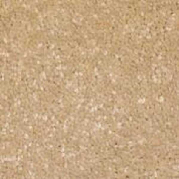 Home Decorators Collection 8 in. x 8 in. Texture Carpet Sample - Sycamore II -Color Popular
