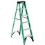 https://images.thdstatic.com/productImages/131f712f-5a15-4938-9d36-4cb855e5fb46/svn/werner-step-ladders-fs206-64_65.jpg
