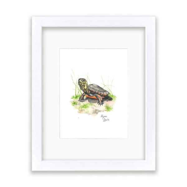 Unbranded Woodland Tinies "Turtle" by Alyssa Lewis Individual White Framed with Mat Animal Art Print 14 in. x 11 in.