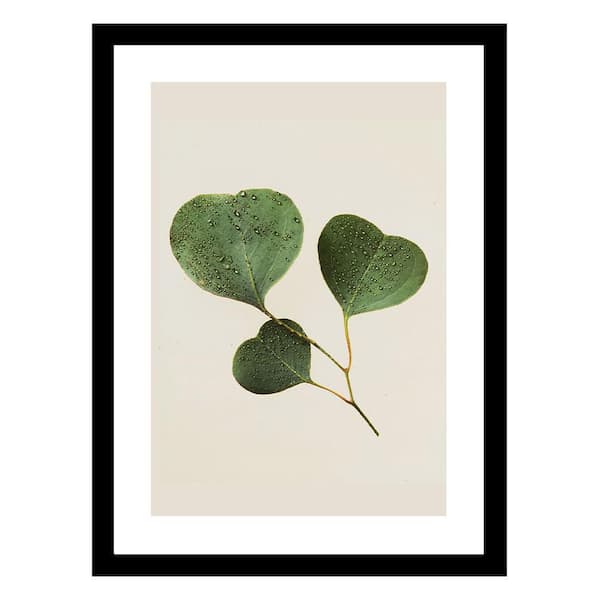 VENICE BEACH Collections Heller Photography Love Leaves Framed Printed Photograph by Steven A Heller Nature Poster Art Print 18 in. x 14 in.