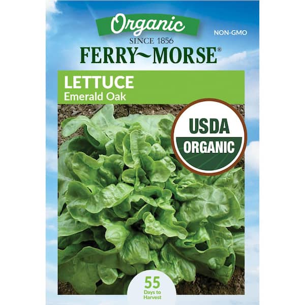 Organic Lettuce Emerald Oak Vegetable Seeds