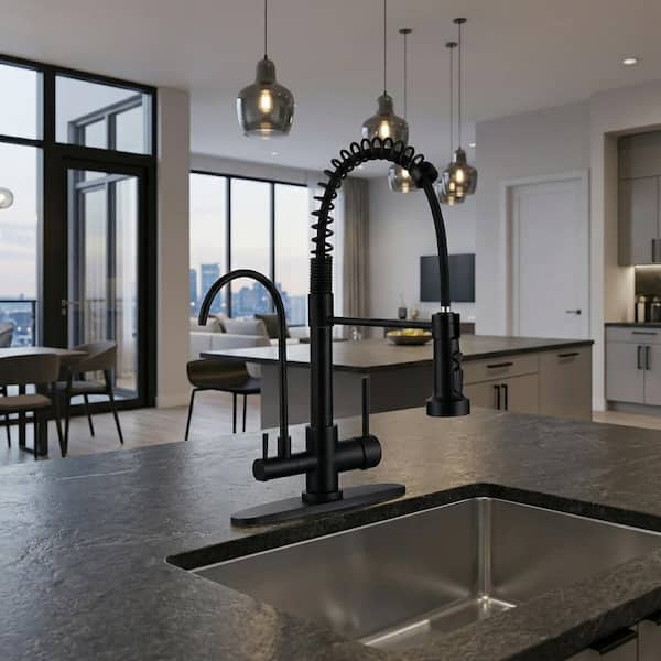 17.5 in. Double Handle 360° Pull Down Sprayer Kitchen Faucet with Drinking Water Filler and 3-Mode Spout in Matte Black