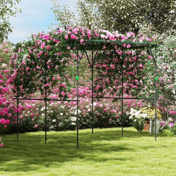 Unbranded 87.8 in. Garden Arch Trellis for Climbing Plants Outdoor, Metal  Plant Trellis with Climbing Net, Plant Support for Vine P397317US