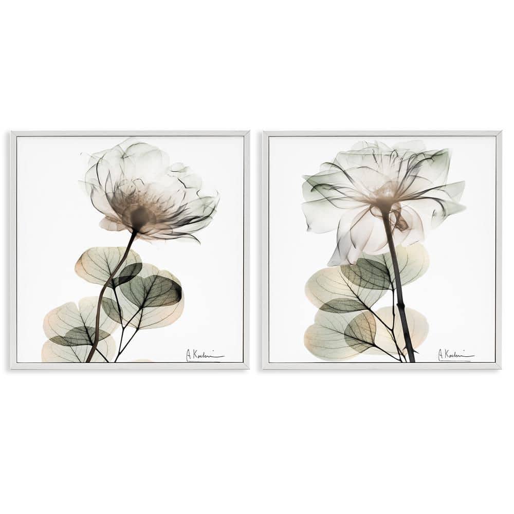 Cream Transparent Floral by Albert Koetsier 2-Piece White Framed Nature Giclee Art Print 17 in. x 17 in. price history on PriceWatchPro