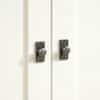Close-up of metal hardware on the bookcase doors.