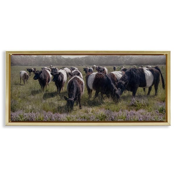 Stupell Industries Black Cows Grazing in Pasture by Robin-Lee Viera Gold Floater Frame Animal Graphic Art Print 11 in. x 25 in.