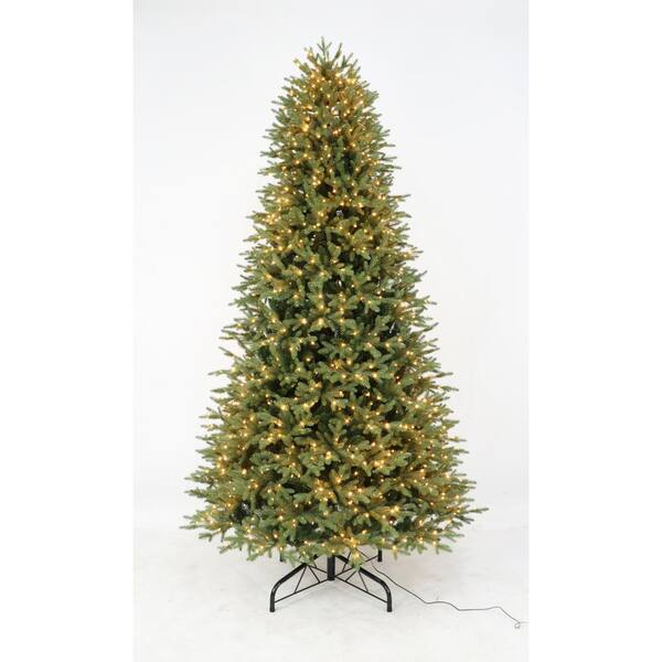 Does home depot have live christmas trees now