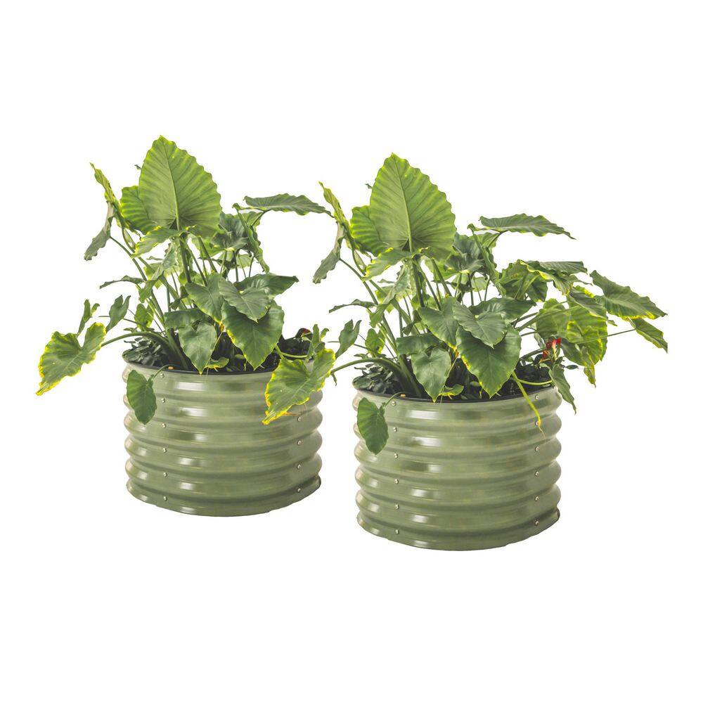 Twin Pack 17" Tall Herb Garden Bed 24" Wide Outdoor Metal Galvanized Gardening Bed Olive Green