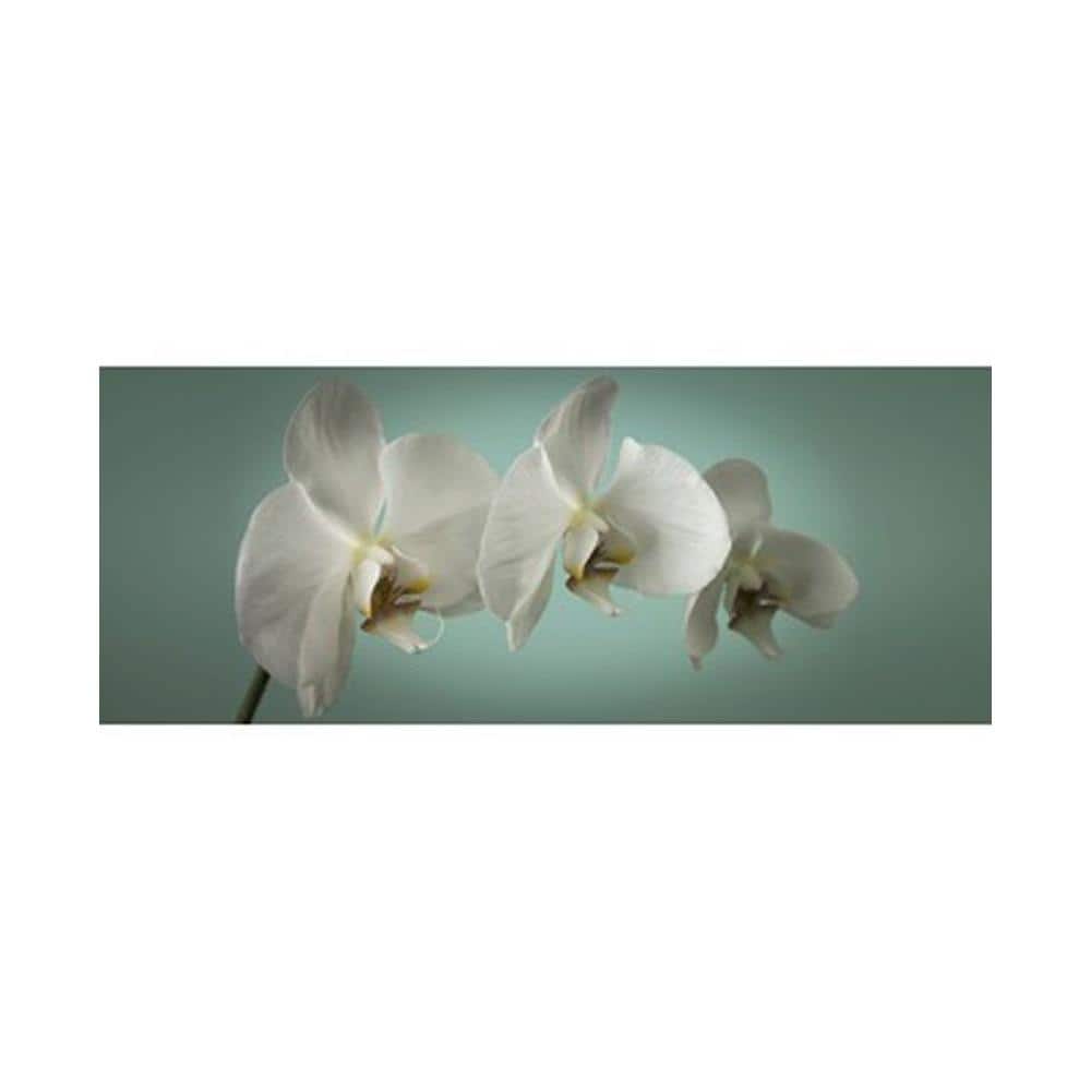 EAN 5011583061437 product image for 39 in. x 16 in. 