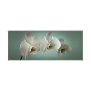 39 in. x 16 in. "Teal Orchid" by Graham and Brown Printed Canvas Wall Art