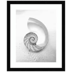 "Pearl Nautilus Shell Cut In Half" 1-Piece Wood Framed Black and White Nature Photography Wall Art 17 in. x 14 in.