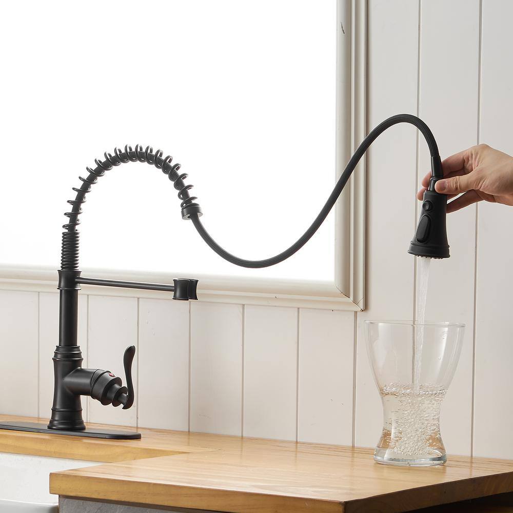 Matte Black Pull-Down Kitchen Faucet with Pull-out Spray