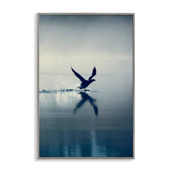 Stupell Industries Splashing Bird on Water by Incado Gray Framed Animal Giclee Art Print 24 in. x 16 in.
