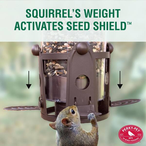 Perky Pet Squirrel Be Gone Max Squirrel Proof Bird Feeder 4 Lb Capacity 334 The Home Depot