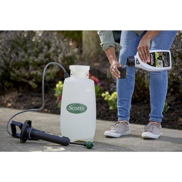 Ortho Groundclear 32 Oz Concentrate Weed And Grass Killer 465030605 The Home Depot