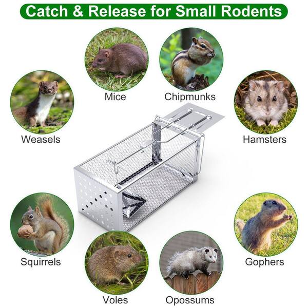 High Sensitivity Rat Trap Cage-Stainless Steel Construction