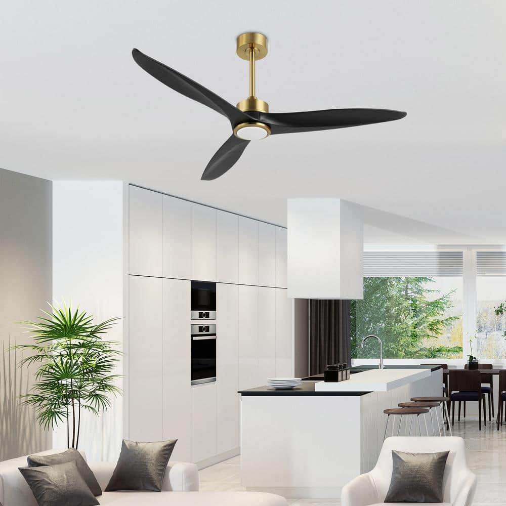 52-Inch Black and Gold Modern Ceiling Fan with LED Light and Remote