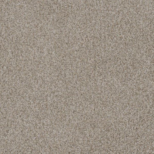 Home Decorators Collection Westchester I - Radiant - White 50 oz. Polyester Texture Installed Carpet