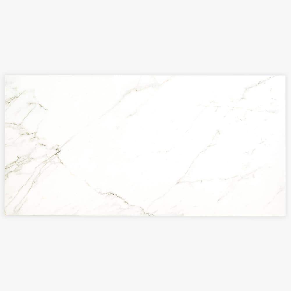 Michella Calacatta Isla 24 in. x 48 in. Matte Porcelain Marble Look Floor and Wall Tile (542.5 sq. ft./Pallet) price history on PriceWatchPro
