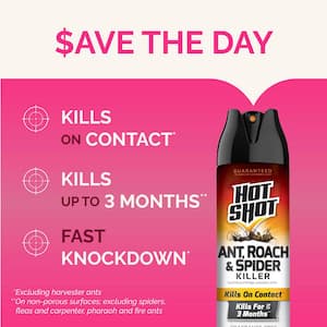 17.5 oz. Unscented Ant, Roach and Spider Aerosol Insert Killer