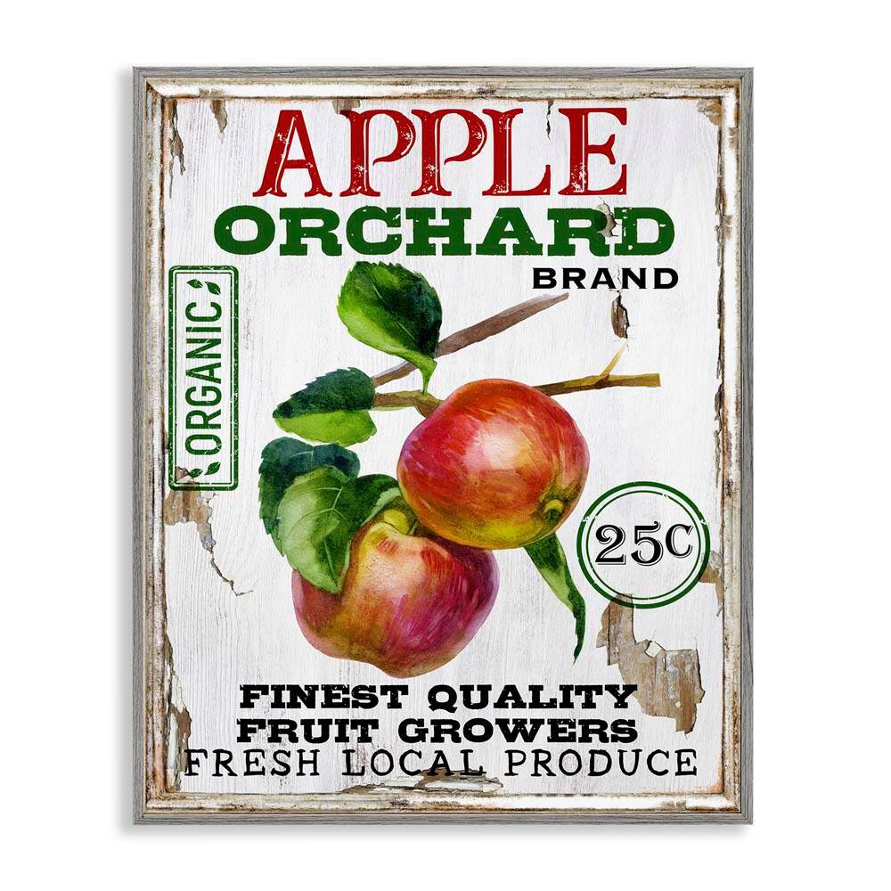 Farmhouse Style Apples by Creatif Belle Gray Framed Food Giclee Art Print 14 in. x 11 in. price history on PriceWatchPro