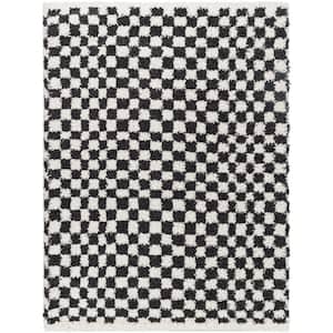 Birmingham Black/White Checkered 5 ft. x 7 ft. Indoor Area Rug
