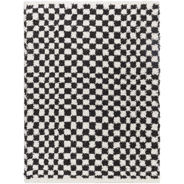 Birmingham Black/White Checkered 5 ft. x 7 ft. Indoor Area Rug
