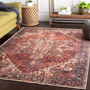 Gilda Rust 5 ft. 3 in. x 7 ft. 3 in. Distressed Machine-Washable Area Rug
