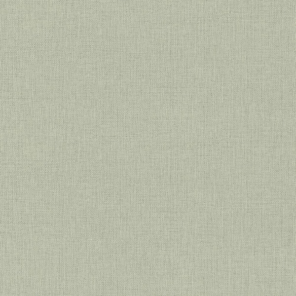 Advantage 8 in. x 10 in. Haast Mint Vertical Woven Texture Sample 4015 ...