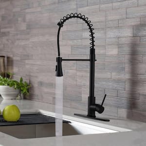 Single-Handle Pull Down Sprayer Kitchen Faucet with Deckplate Included and 2 Models in Matte Black