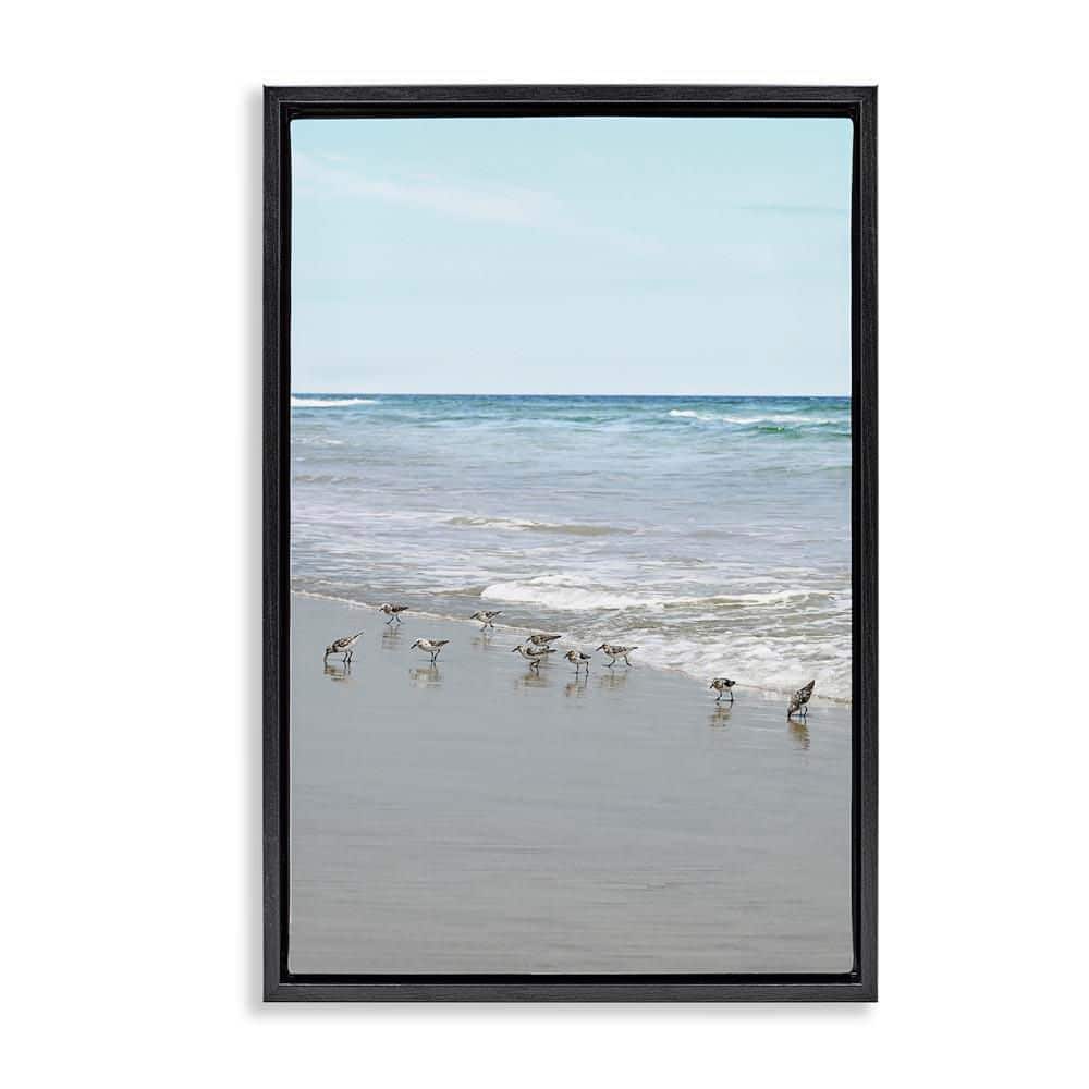 Energetic Beach Birds by Natalie Carpentieri Black Floater Frame Coastal Graphic Art Print 31 in. x 21 in. price history on PriceWatchPro
