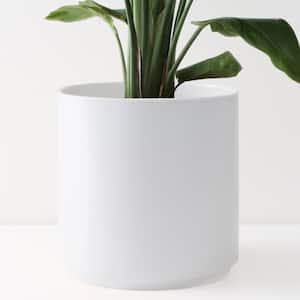 Trendspot 16 In Matte White Cylinder Ceramic Planter Cr11502n 16w The Home Depot