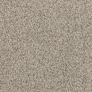 Radiant Retreat II Moonlit Gray 58 oz. Polyester Textured Installed Carpet
