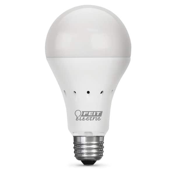 Feit Electric 40 Watt Equivalent Soft, Power Outage Light Bulbs Home Depot