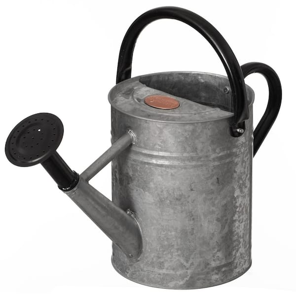 Gardenised 1 Gallon Metal Watering Can with Removable Long Spout & Sprinkler Head for Indoor & Outdoor Use, Silver