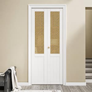 ARK DESIGN 24 in. x 80 in. Paneled Solid Core White Finished Wood