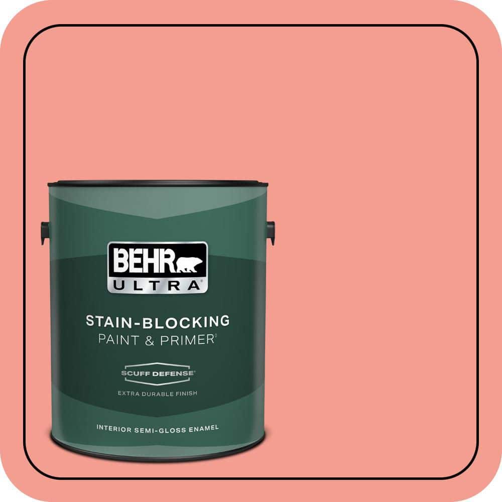1 gal. #170B-4 Cool Melon Extra Durable Semi-Gloss Enamel Interior Paint & Primer price history on PriceWatchPro