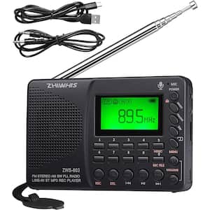 Portable Bluetooth Radio, FM AM Shortwave Radios with Sleep Timer and Preset Function, Rechargeable Digital Recorder