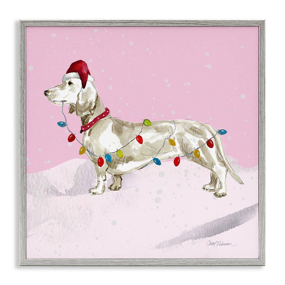 Christmas Lights Dachshund by Carol Robinson 1-Piece Gray Framed Giclee Animal Art Print 12 in. x 12 in. price history on PriceWatchPro