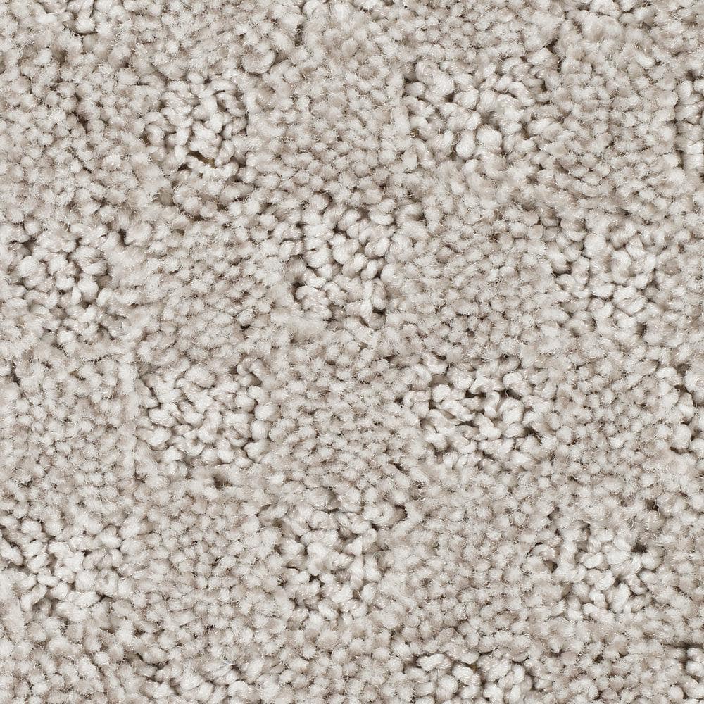 8 in. x 8 in. Pattern Carpet Sample - Shiloh Point -Color Poised Taupe price history on PriceWatchPro